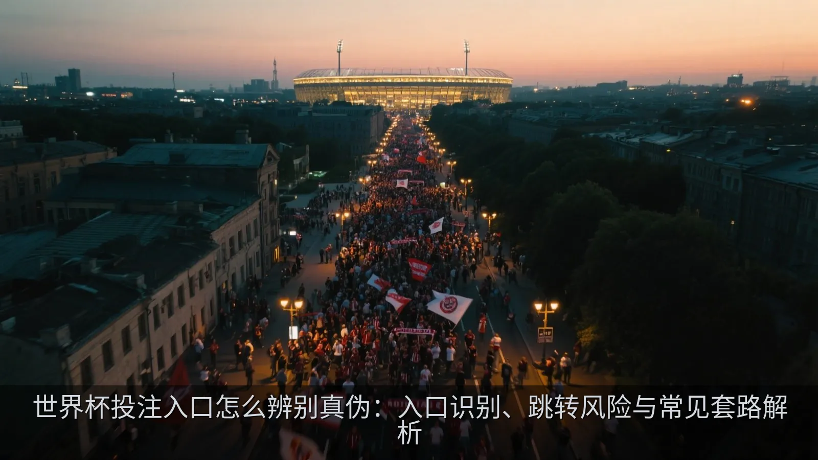 网站真伪对比与风险提示示意图